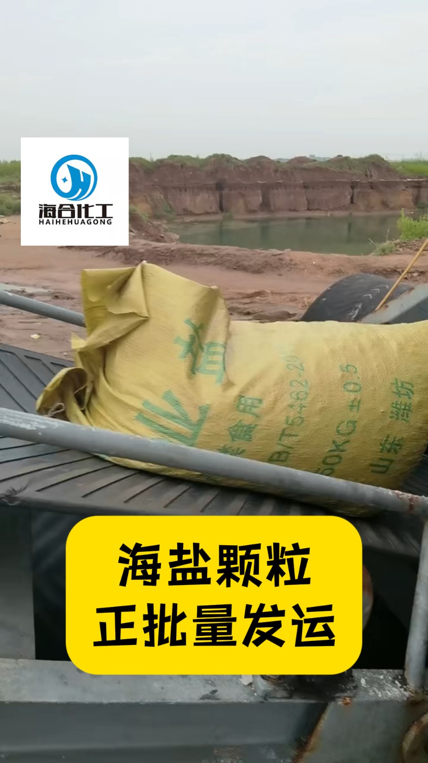 工业海盐在氯碱化工领域中的核心应用：从电解制碱到千亿产业链，海洋化工的“白色基石”